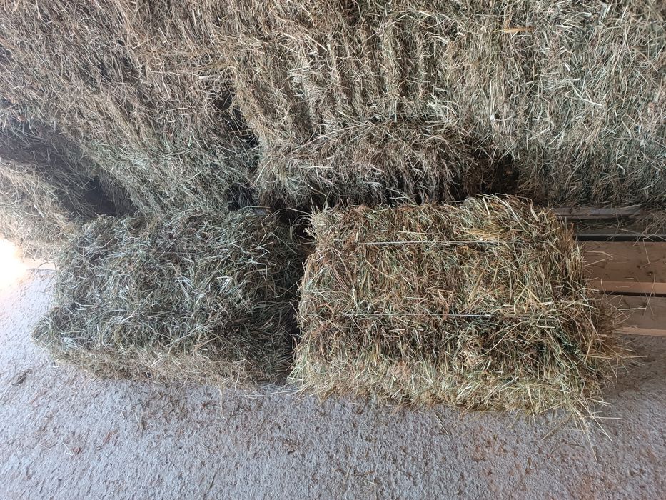 Kostki siana i potrawu