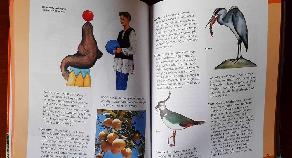 Encyklopedia szkolna - leksykon A-Ka / tom 1.