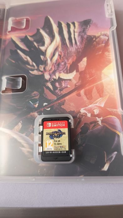 Monster hunter rise