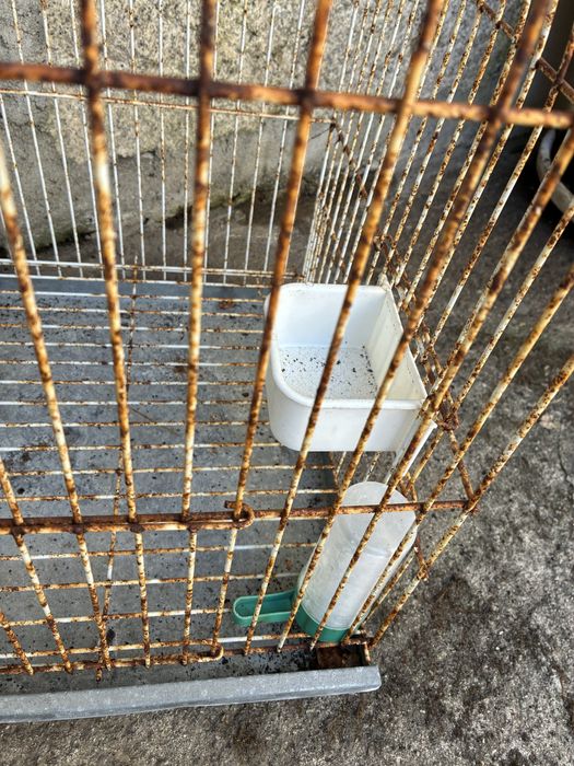 Gaiola para pássaro