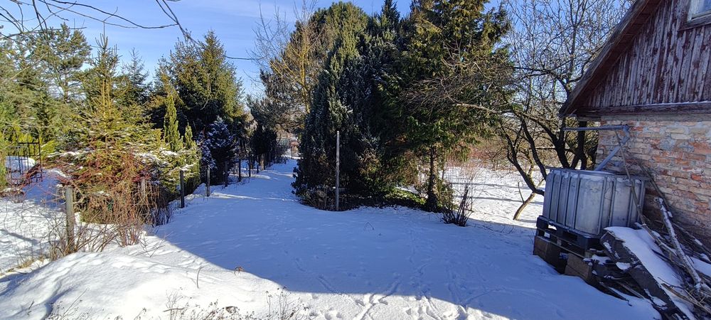 Działka rod im Sikorskiego w Nowem