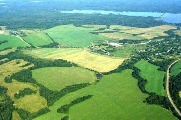 Експертна оцінка Вінница і область, технічний паспорт БТІ, оформ землі