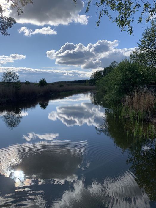 Колонщина. Будиночок з виходом на озеро