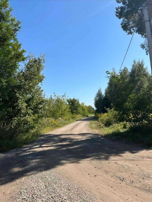 Старі Петрівці, 12 соток, ліс.  Гарне місце.