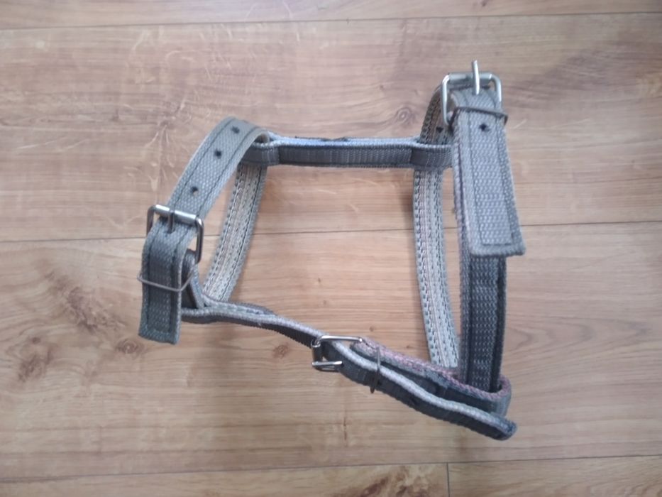 Шлейка для Собак