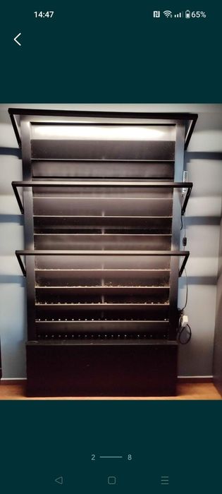 Фітостіна, вертикальне озеленення