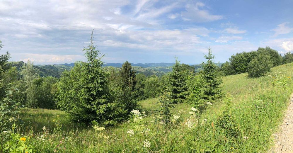 Ділянка, 60сот-5га, с.Буковець,Верховинського р-ну, Івано-Франк. обл.