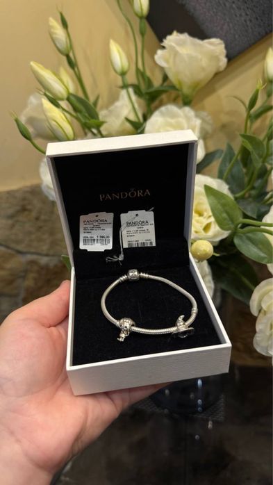 Браслет Pandora Harry Potter,Гаррі Поттер,Гаррі і Шляпа