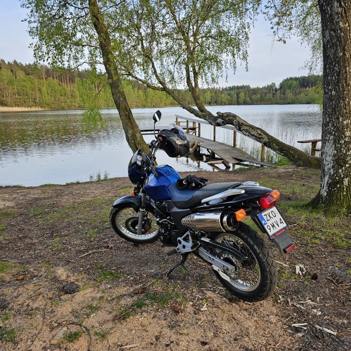 HONDA FMX  650 VIGOR(2000)