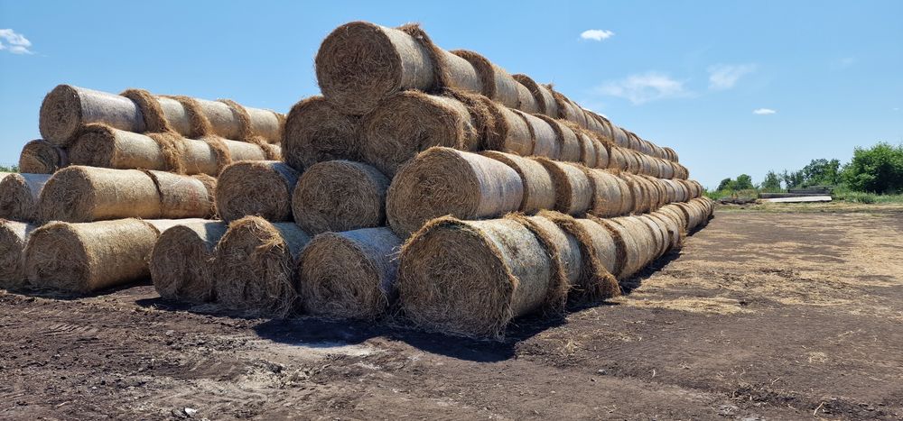 Продам Солому в тюках