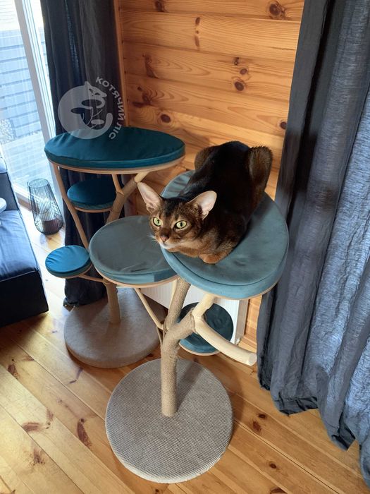 Кігтеточка на основі реального дерева