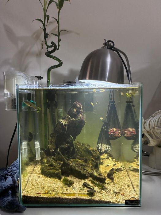 Aquário cubo - Aquatlantis