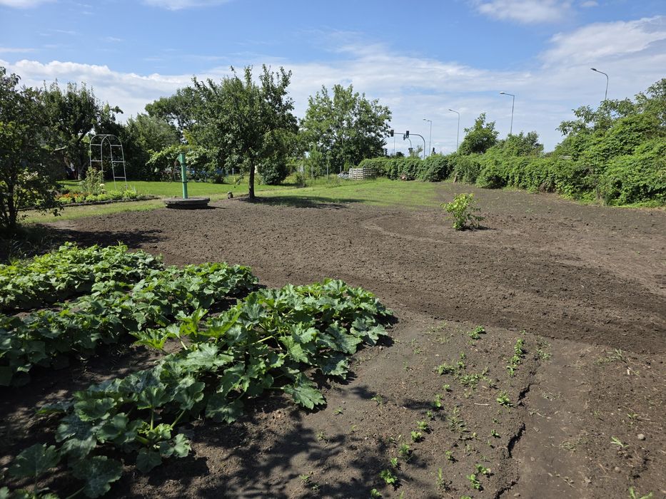 Dzialka Rod w Lwówku