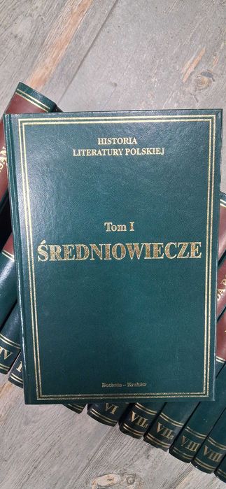 Książki. Historia literatury polskiej.