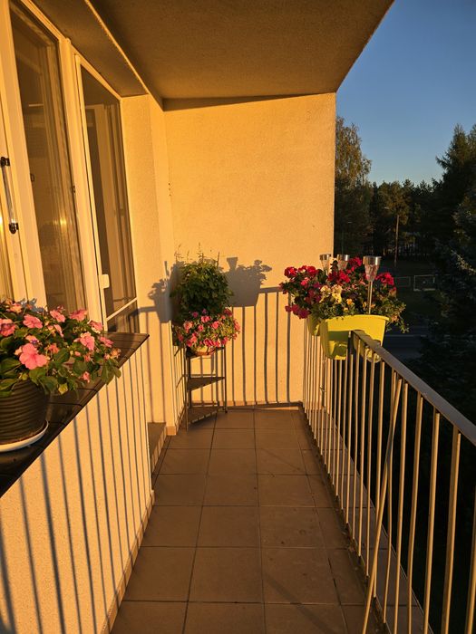 Mieszkanie w Złotowie