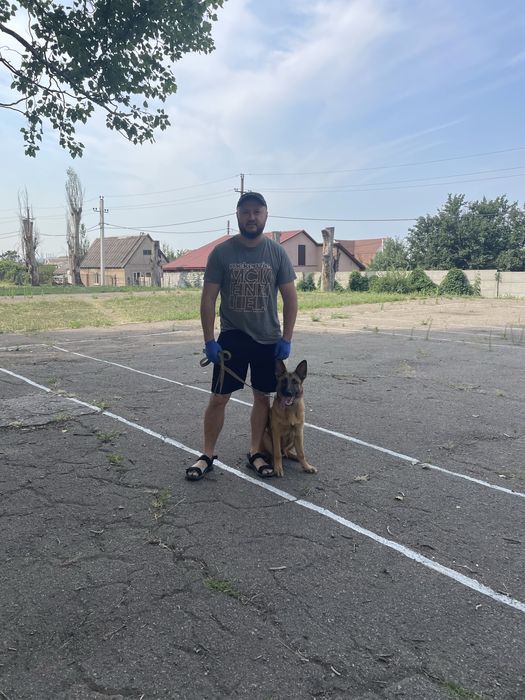 Дрессировка собак от 300 гр Заводской район,выезд цена договорная