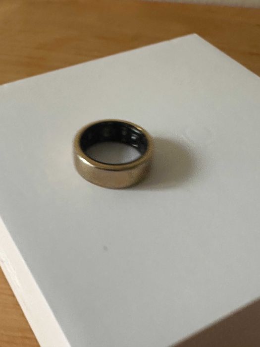 Oura Ring Gen3 Horizon Gold – Tamanho 8 + Carregador /Size 8 + Charger