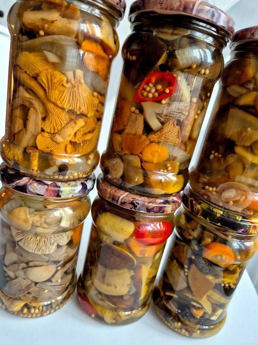 Grzyby marynowane mix w occie 6 szt x 315 ml DUZY SLOiK /  podgrzybek kurka niemka mix super jakość - wysylka cała Polska