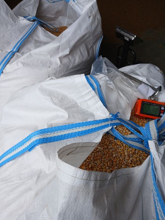 Sprzedam kukurydzę worki 25kg