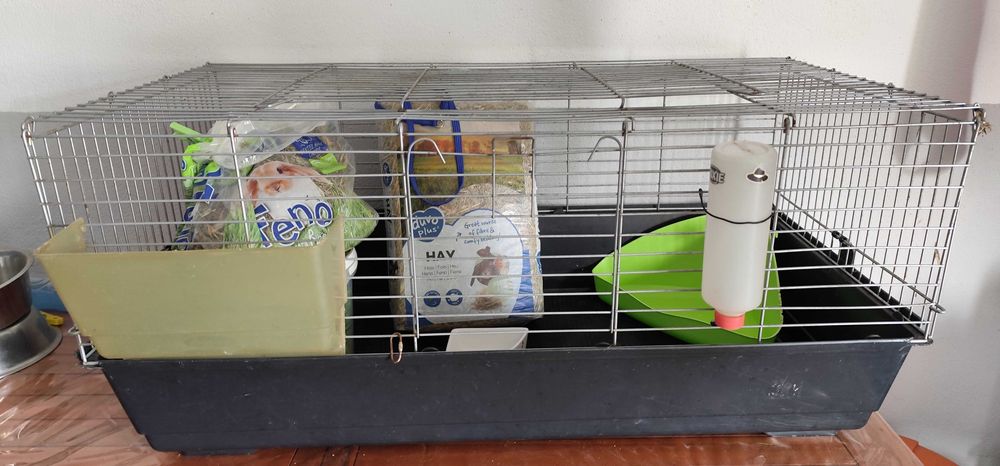 Gaiola para roedores com acessórios