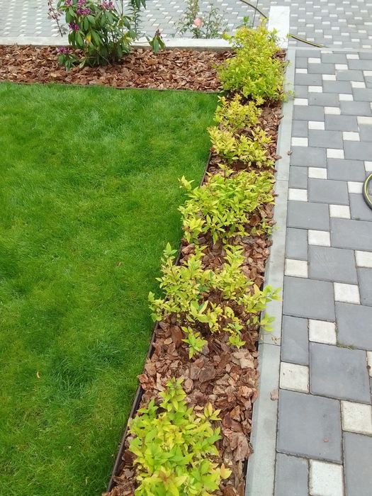 Кора соснова  для декора клумб