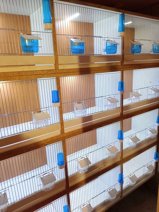 Regał/Klatki na ptaki