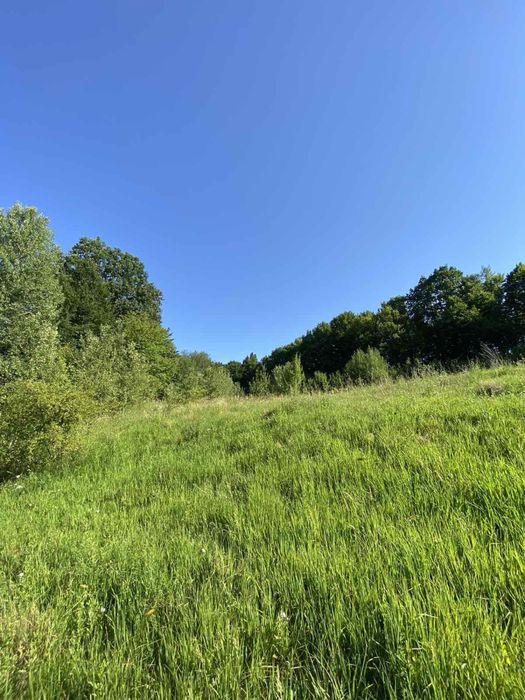 Власник.Продам.Обмін зем ділянку з кад.номер. 7км від Косова.1.га
