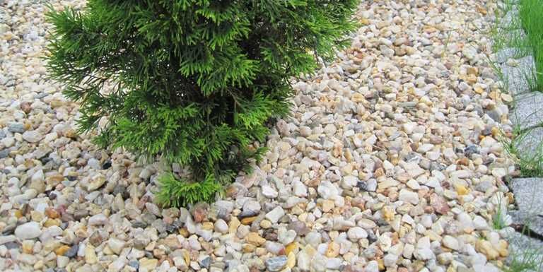 ŻWIR MIODOWY KAMIEŃ grys do ogrodu frakcja 16-32 i 32-60 w worku 25 kg