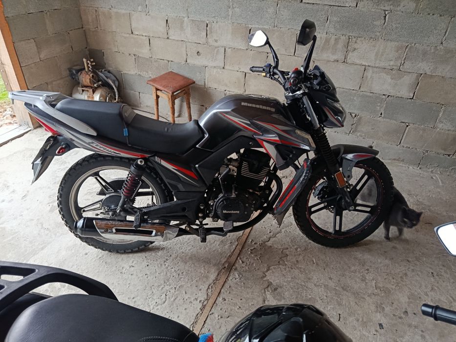 Мустанг фортуна 200