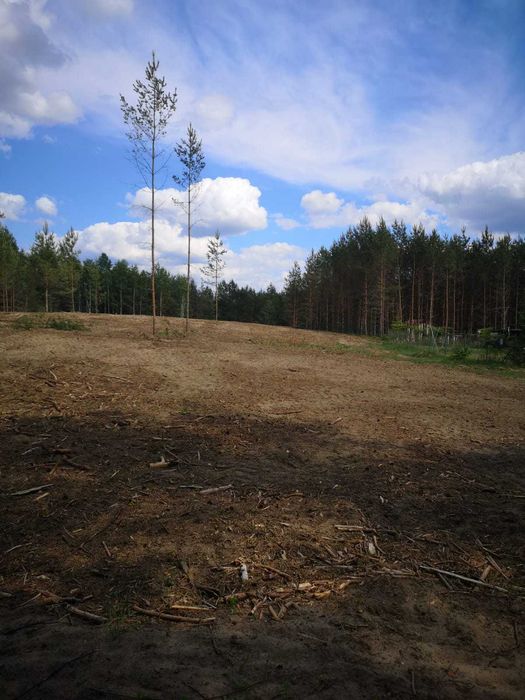 KASZUBY działki budowlane WZ Struga Gmina Stara Kiszewa pow. Kościerski. - Widok 4