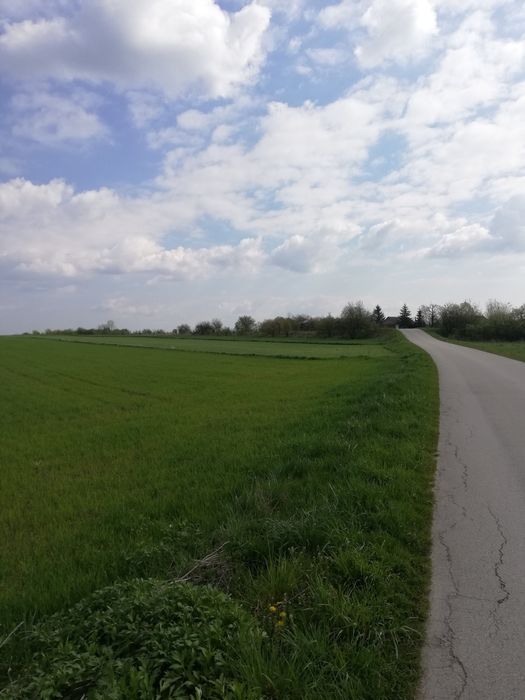 sprzedam działkę rolną