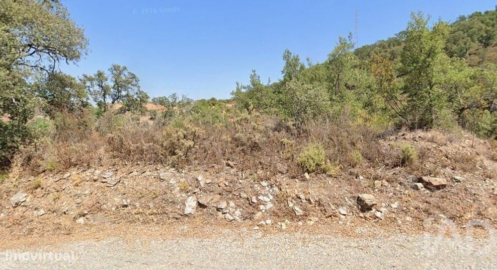 Terreno Agrícola em Santa Catarina da Fonte do Bispo