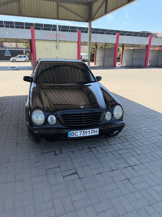 Мерседес очкарік