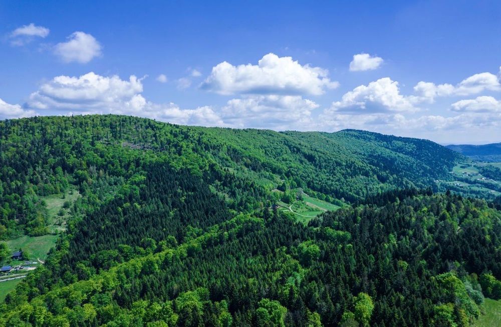 Działka 2ha Pisarzowa budowlana na sprzedaż - Widok 4