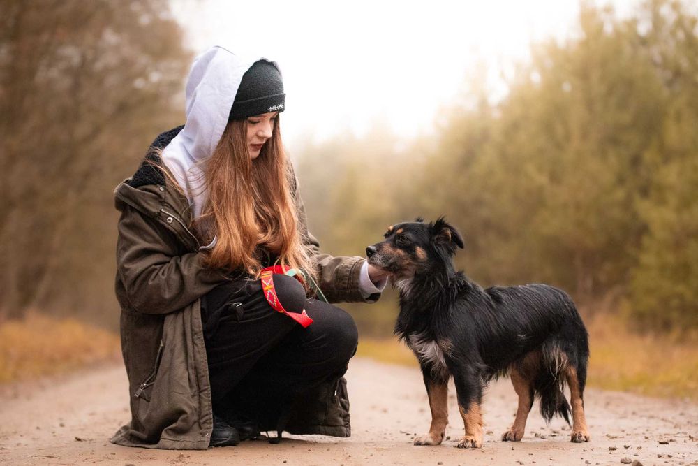 KENLY - pragnąca bliskości sunieczka o wiernych, bursztynowych oczkach
