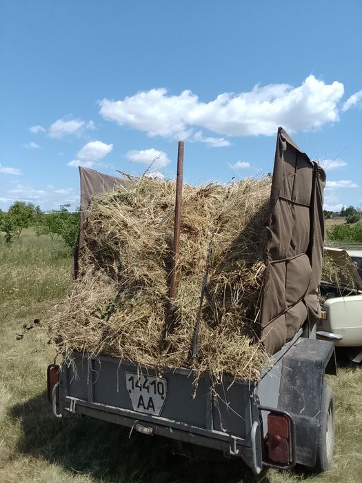 Продам сено люцерка