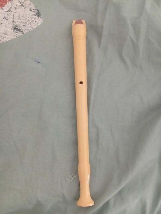 Guitarra infantil e flauta honner