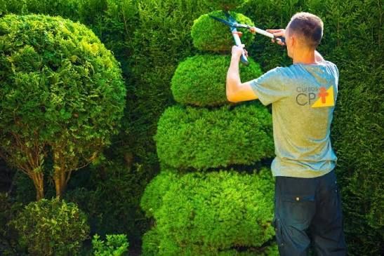 Serviço de jardinagem