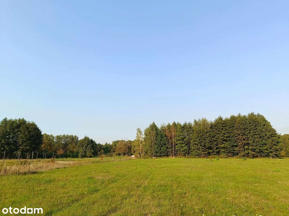 Działka/ działki budowlane Krubki Górki - Widok 6