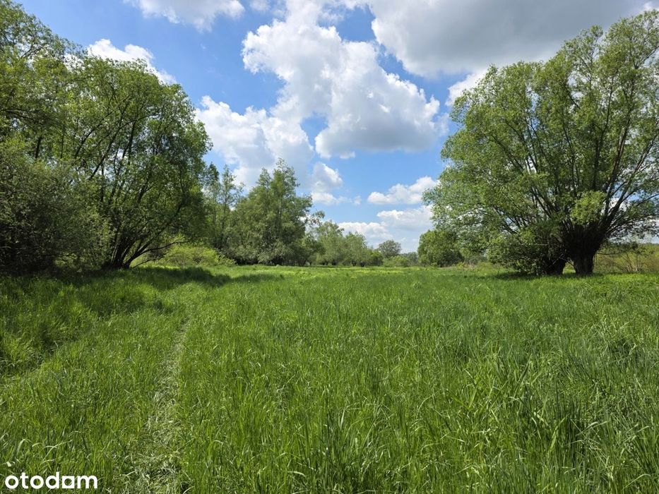 Lubaszowa – działka 29 arów w sąsiedztwie rzeki Biała!!! - Widok 4