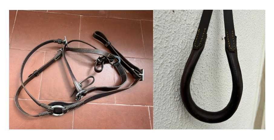 Conjunto de sela à portuguesa Casa Farto - Usado