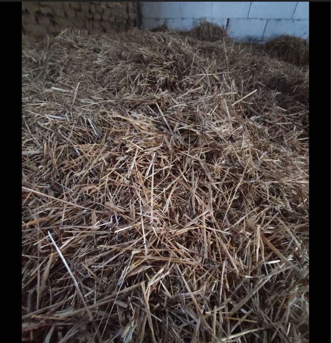 Słoma/siano luzem