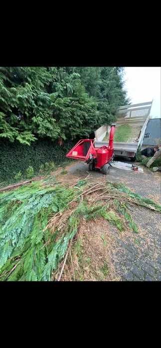rębak spalinowy Cedrus RB05 z wałkiem podającym- wynajem