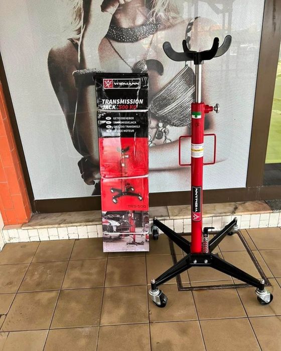 Macaco de Fossas novo