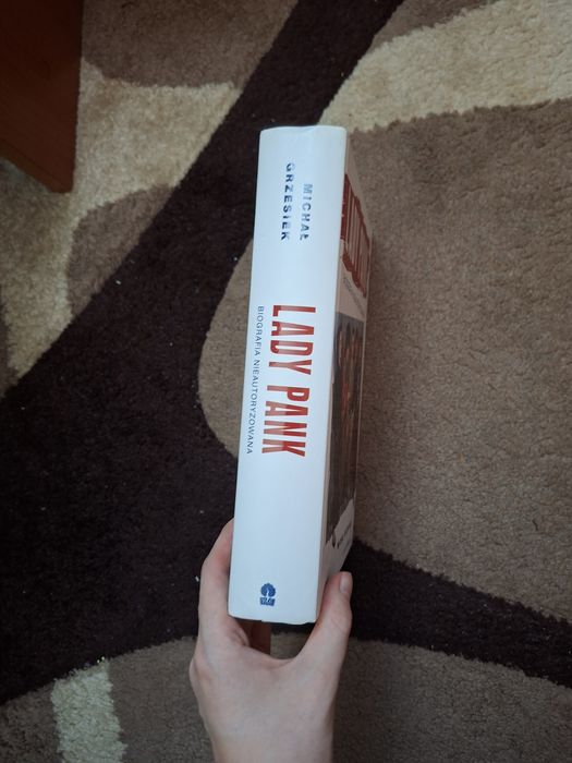 Lady Pank. Biografia nieautoryzowana - Michał Grzesiek
