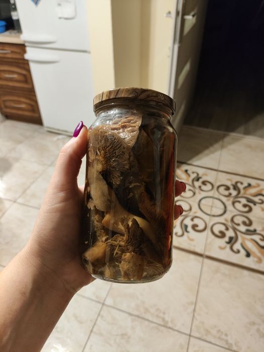 Marynowane rydze tegoroczne