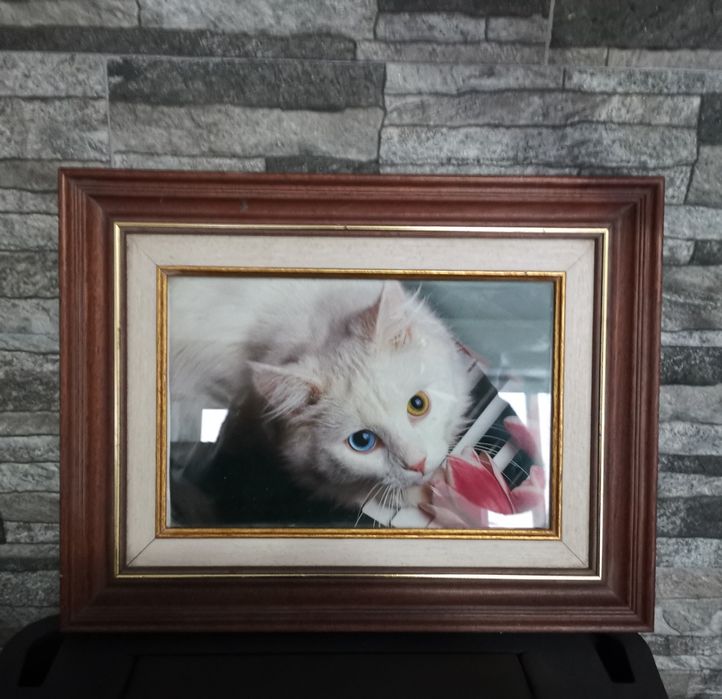 Quadro / moldura de madeira