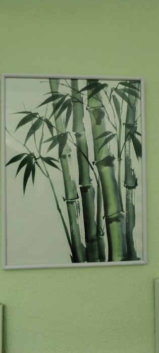 Quadro decorativo com bambus