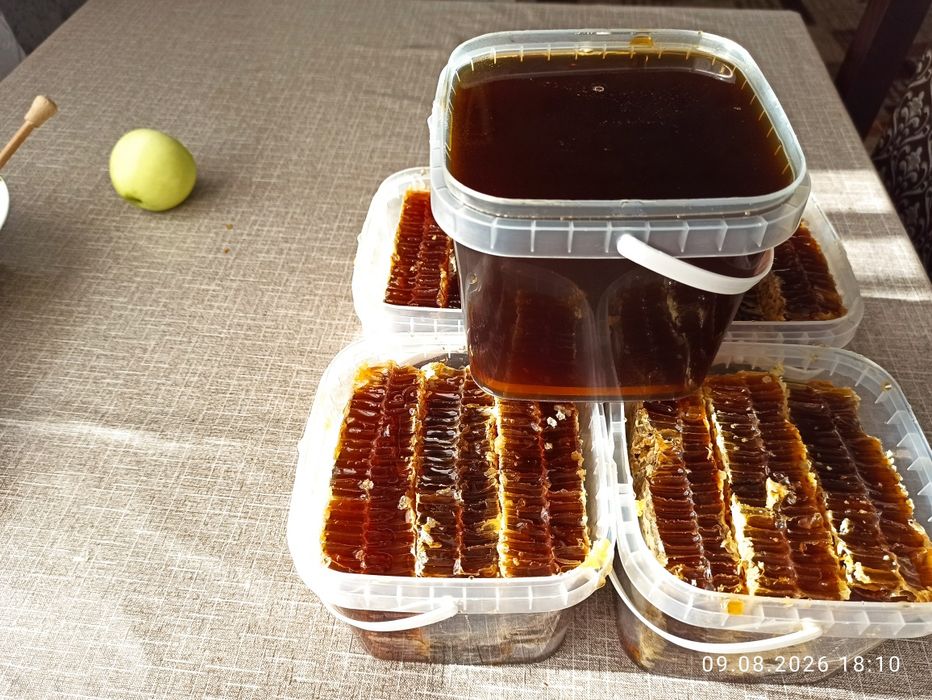 Продам гречаний сотовий мед
