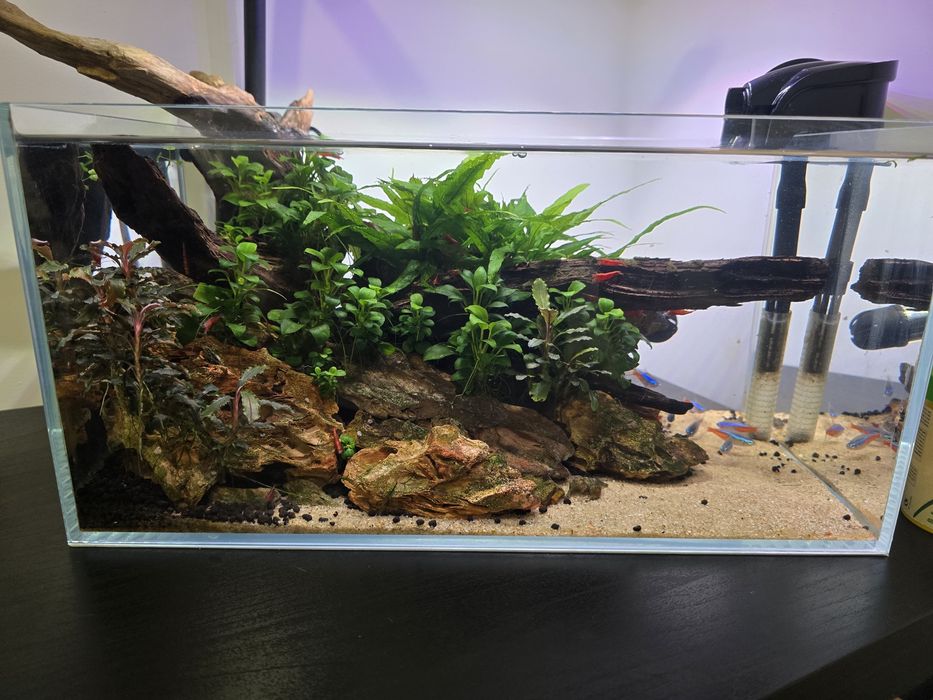 Aquario completo 36×22×18 cms